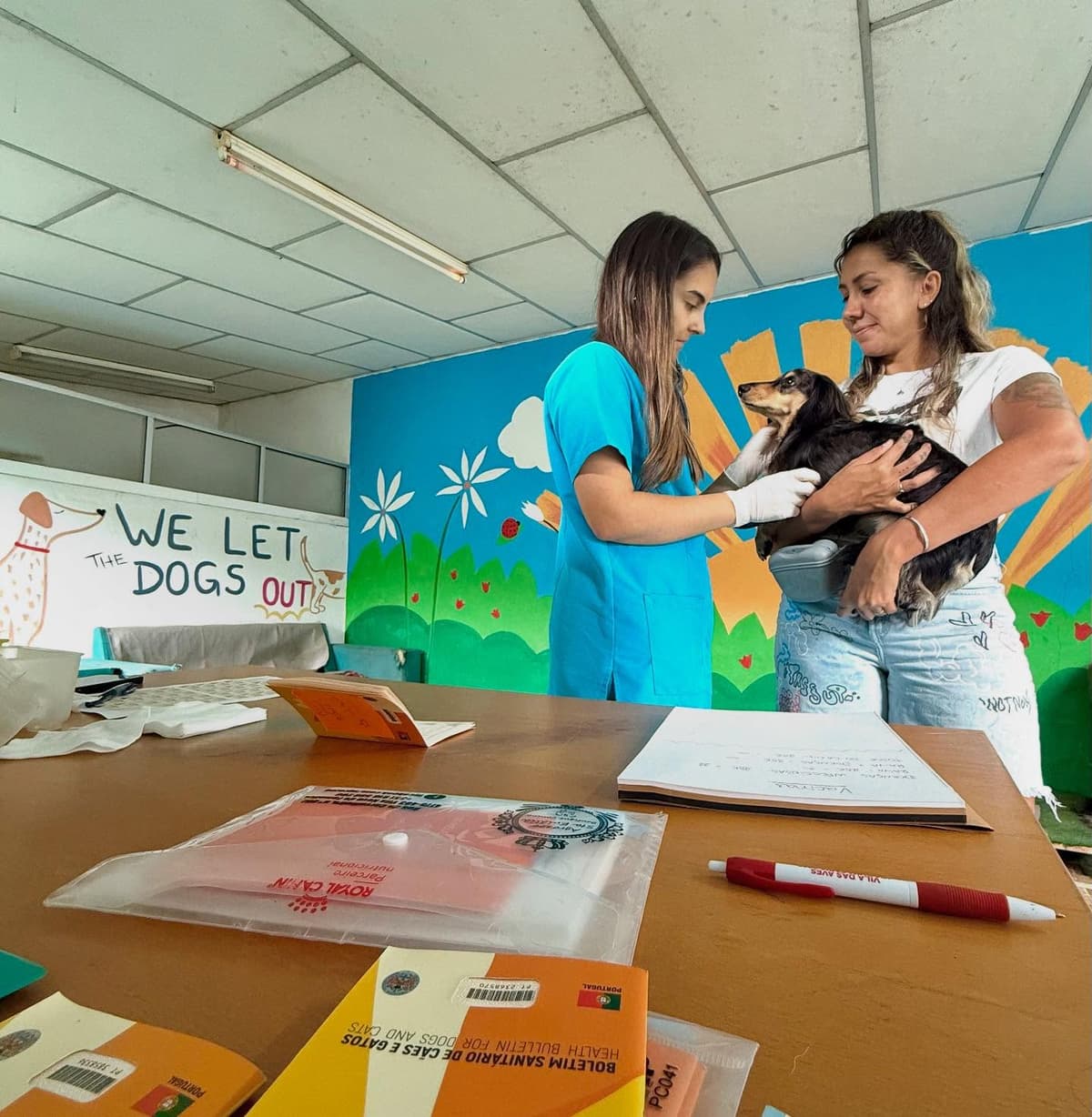 Check-in de cao na Dog Fella